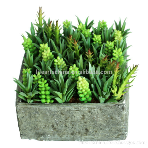 2016 NEW DESIGN succulent plants artificial plant tropical plant